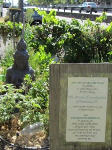 Tram stop 22 Garden III