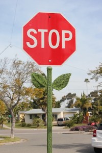 stop sign flower